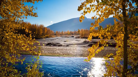 WBC_Landing Page_Ravalli WBC_Landing Page_Ravalli
