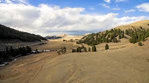 WBC_Landing Page_Wheatland